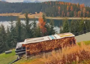 come conservare la legna da ardere