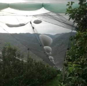 come non diventare bersaglio dei fulmini in montagna