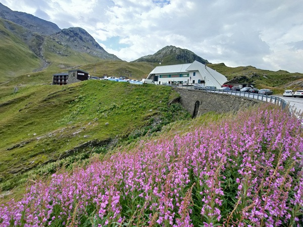 come sfruttare al massimo un vantaggio fiscale di livigno