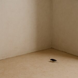 cosa odiano gli scarafaggi