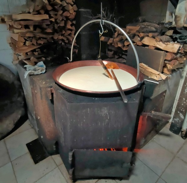 cosa rende speciali i formaggi della valtellina