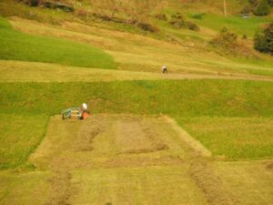 cosa si può costruire su terreni non edificabili