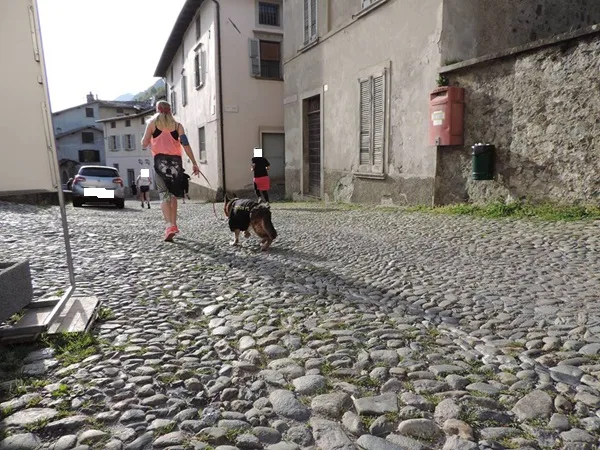 dimostragli il tuo amore con il microchip