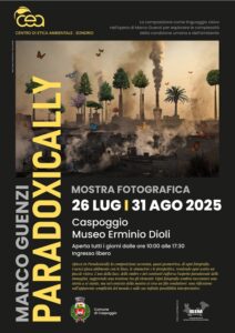 dioli museum caspoggio