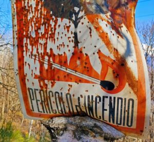 dove si butta la cenere di carbonella dopo un barbecue