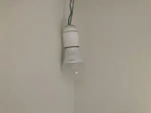 dove si buttano e come si smaltiscono le lampadine