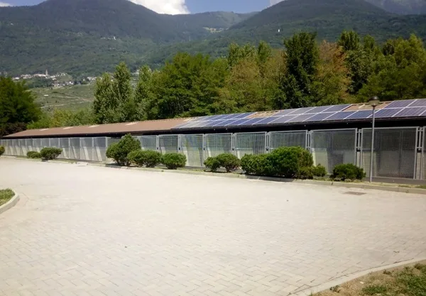 enpa sondrio cerca volontari