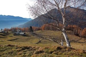 escursione a carnale