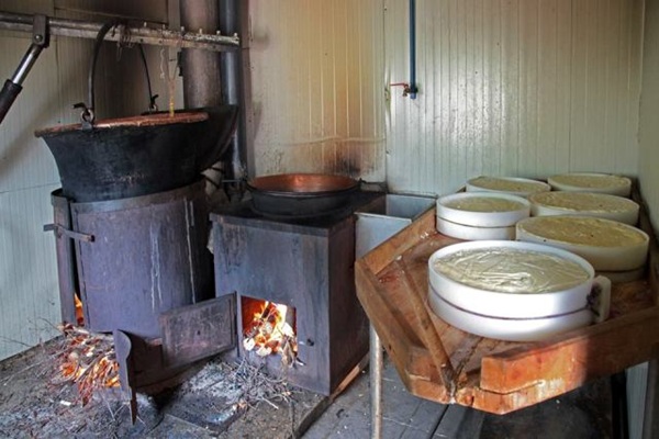 esiste davvero il bitto dop di livigno