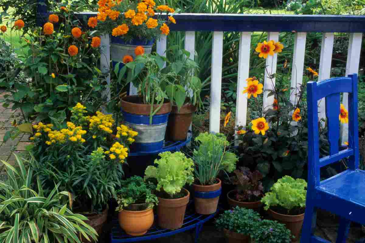 fiori-sul-balcone-20250920-valtellinamobile.it-