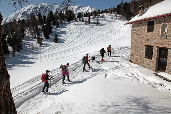 i benefici di camminare al freddo