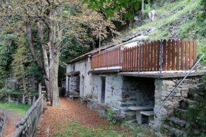 i crotti antiche cantine e tesori nascosti della valchiavenna