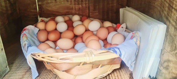 il fertilizzante gratuito che stai buttando ogni giorno