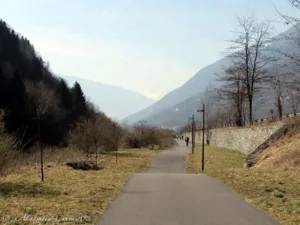 il poco rispettato divieto di trainare animali in bici