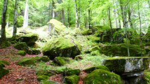 la leggenda del gigiat