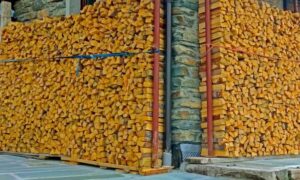 la legna che rovina la canna fumaria