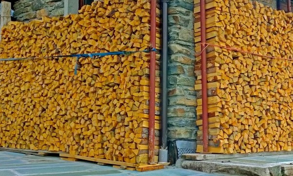 la legna che rovina la canna fumaria