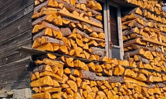 la legna da ardere non è tutta uguale