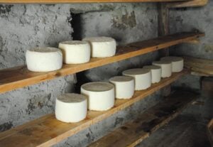 la maschèrpa d’alpeggio, molto più di una ricotta