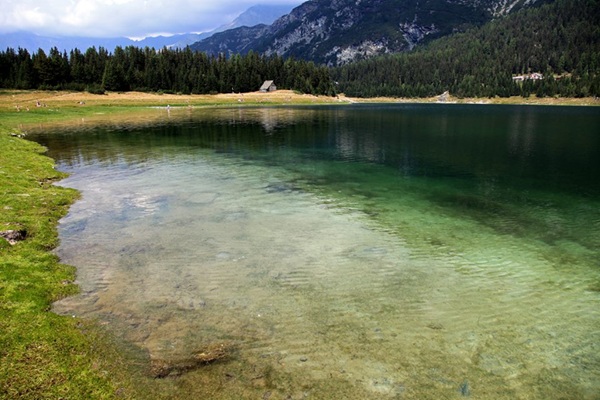 luogo incantato tra la vegetazione secolare della valmalenco