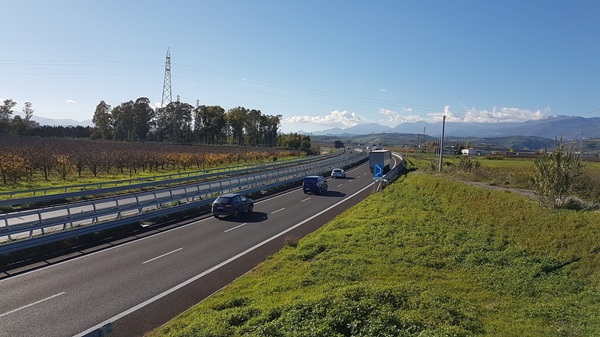 le 10 auto usate indistruttibili 300.000 km senza problemi