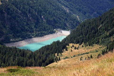 Dighe della Valtellina: impatto e storia