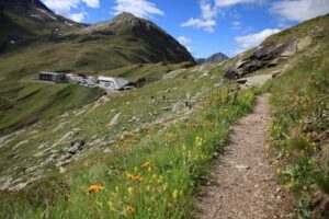 le merci importabili in svizzera da livigno