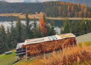 le migliori essenze di legna per il camino