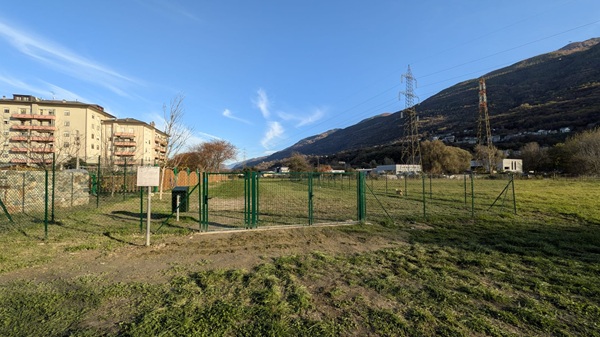 le regole a sondrio per i conduttori di cani su aree pubbliche