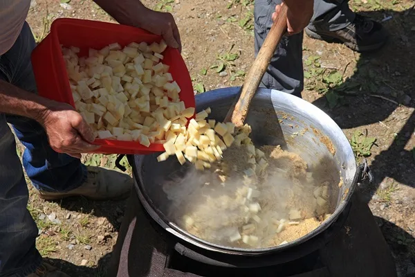sagre estive danno o problema da risolvere