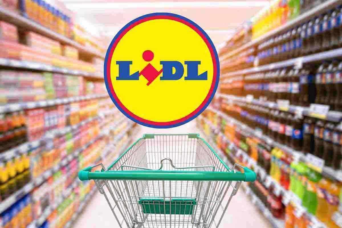 Lidl sfida i prezzi: ecco le offerte|Lidl sfida i prezzi: ecco le offerte