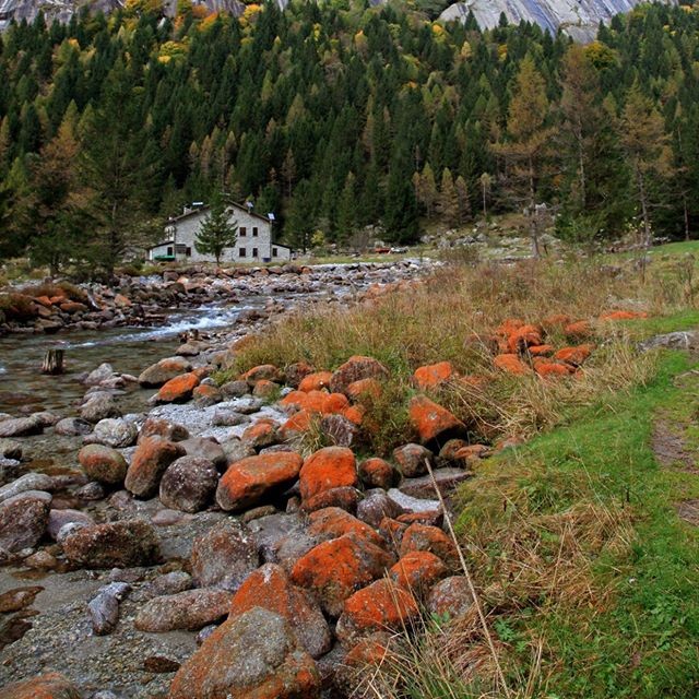 little yosemite d’italia scopri la magia della val di mello