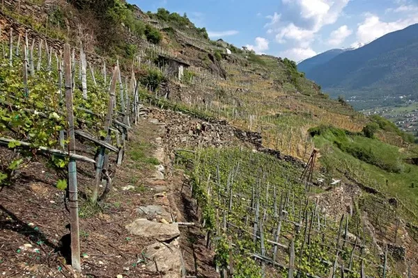 uomo soccorso dai vigili del fuoco