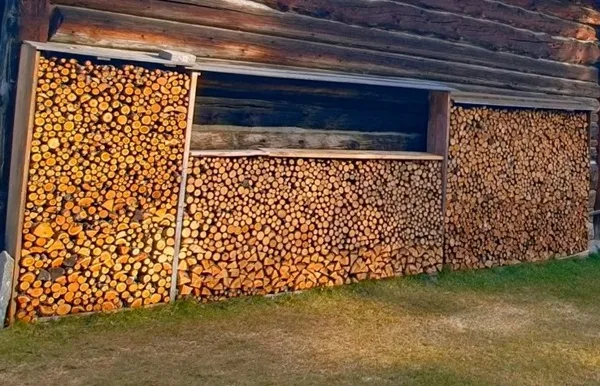 notizie legna pellet