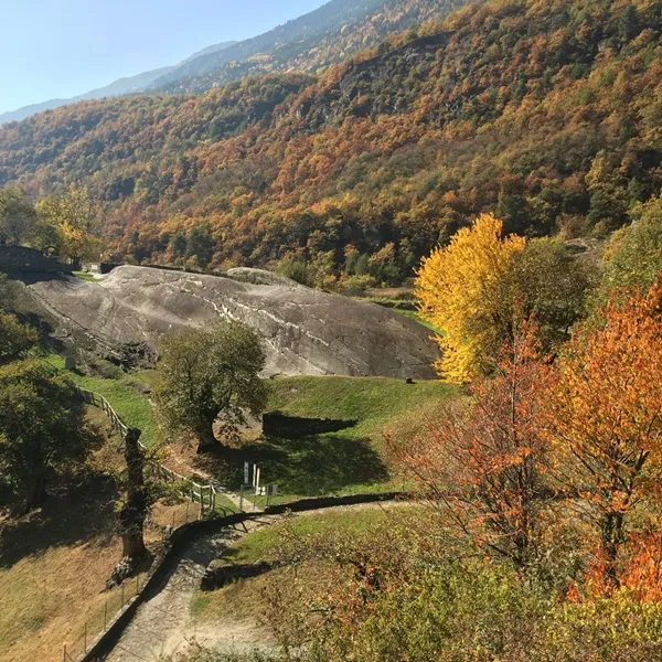 orari parco delle incisioni rupestri di grosio