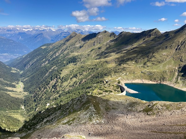 oro blu della valtellina