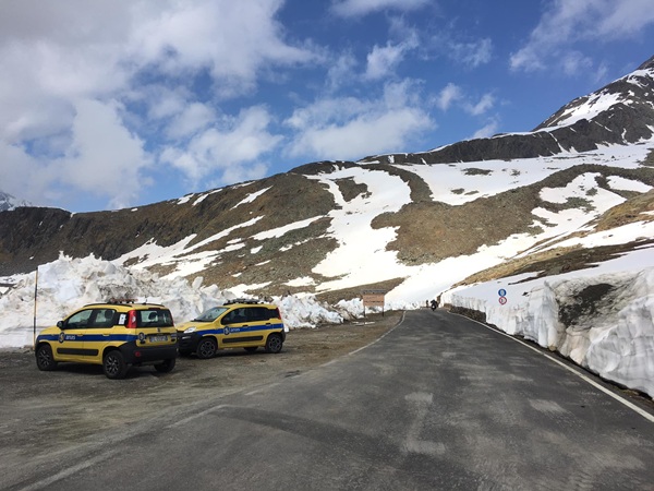 passo gavia oggi|