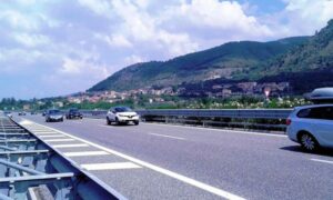 perché proprio gli oleandri in autostrada