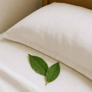 perché si mette l'alloro sotto il cuscino