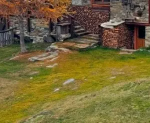 potere calorifico, durata e resa della legna