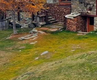 durata e resa della legna