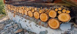 quale legna da ardere scalda di più