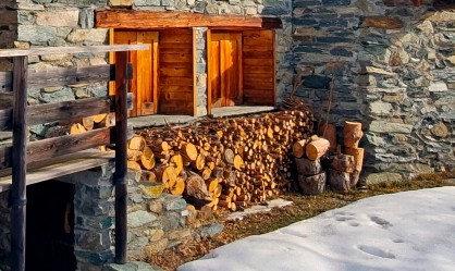quale legna è tossica da bruciare nel camino