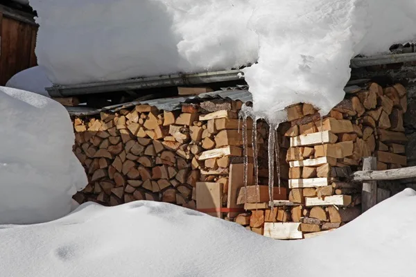 quale legna fa più caldo