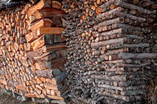 quale legna ha più potere calorifico