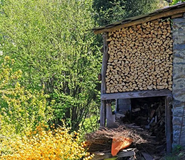 quale legna scalda di più