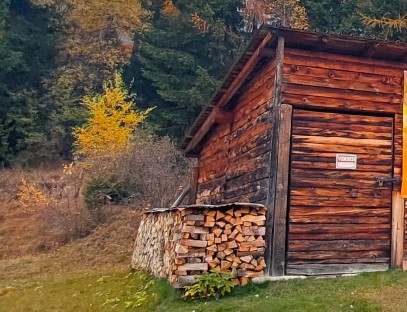 quale legna sporca la canna fumaria