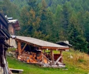 quale legno sporca di più la canna fumaria