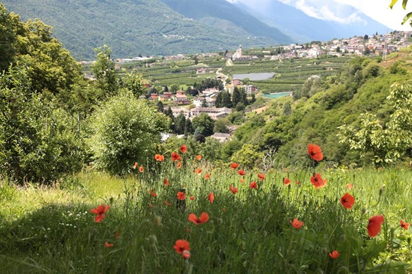 qualità dell'aria in lombardia