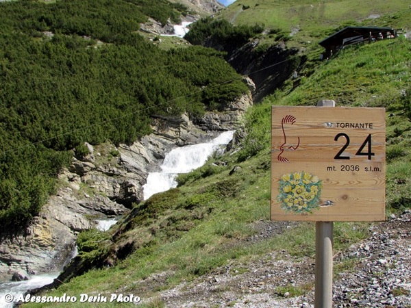 quando apre il passo stelvio|